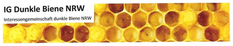 IG Dunkle Biene NRW