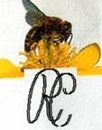 Biene mit Buchstaben RC